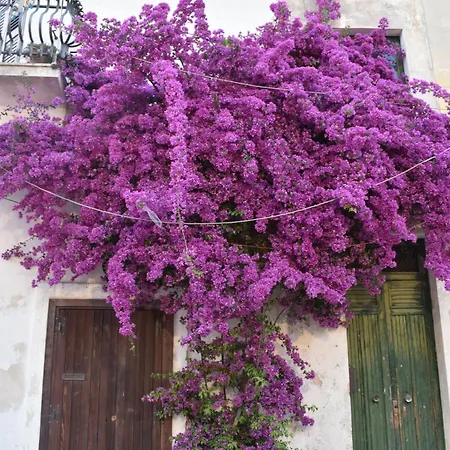 Apartman With Terraced Rooftop Salento *